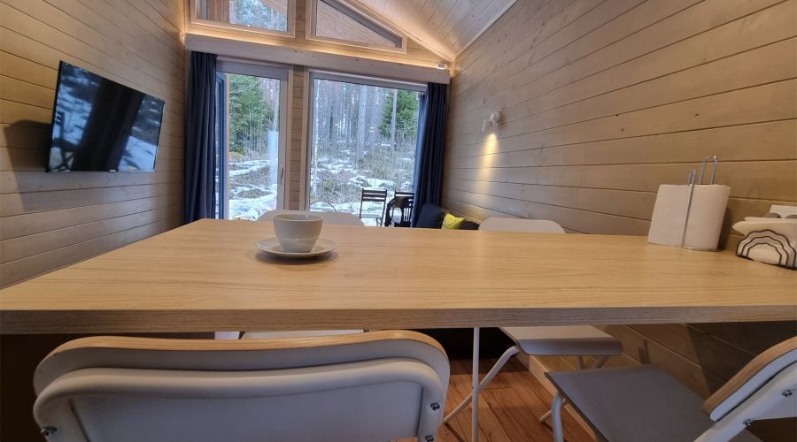 Дома с видом на лес гостиная со спальней