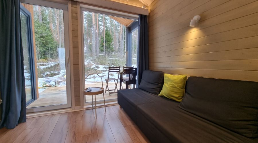 Дома с видом на лес гостиная со спальней