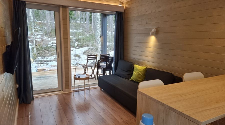 Дома с видом на лес гостиная со спальней