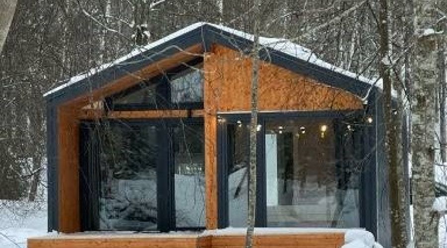 Дома на берегу Вуоксы гостиная со спальней