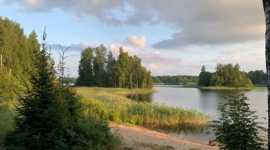 Дома на берегу Вуоксы гостиная со спальней