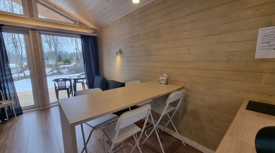 Дома на берегу Вуоксы гостиная со спальней