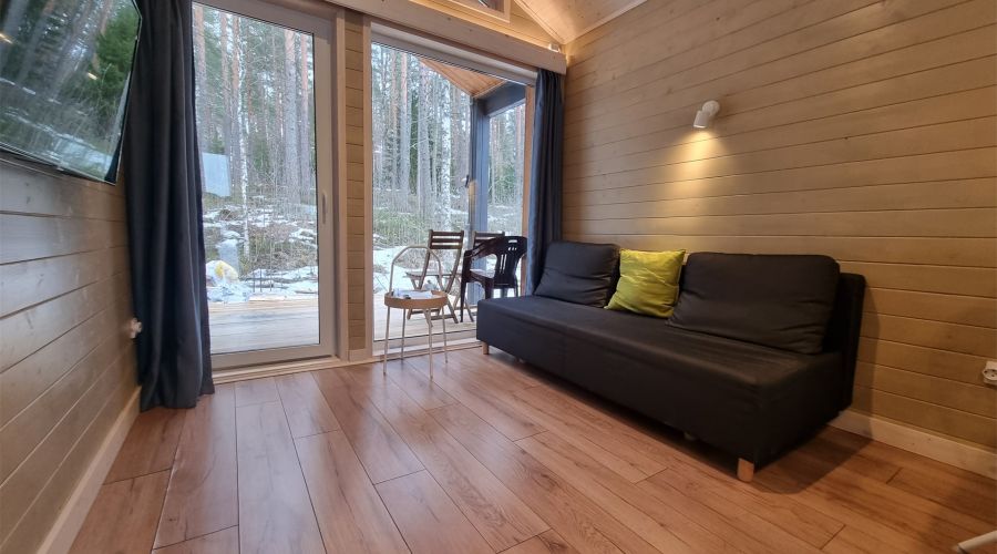 Дома на берегу Вуоксы гостиная со спальней