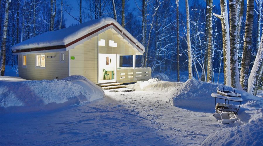 Малый коттедж у леса (1-этажный) 4+2