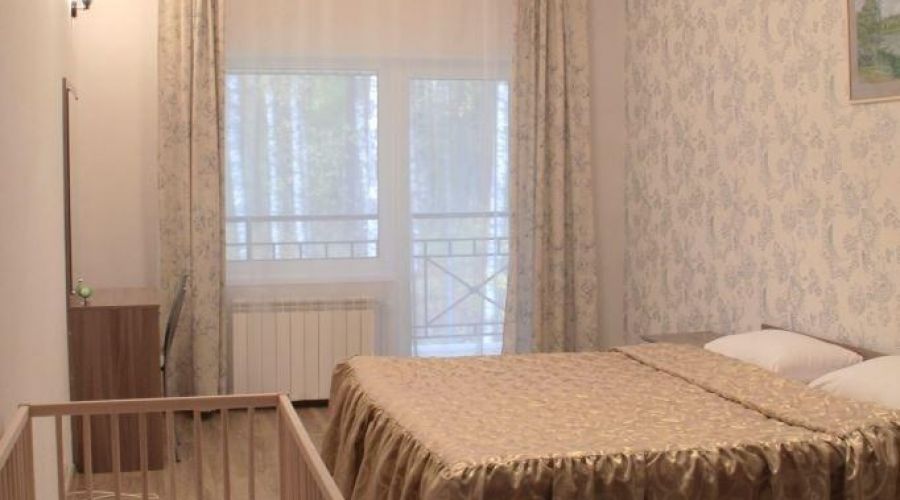 Номер апартаменты с отдельным входом  207 с 1-ой спальней