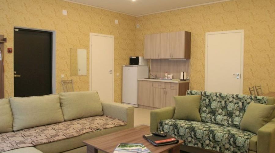 Номер апартаменты с отдельным входом  207 с 1-ой спальней