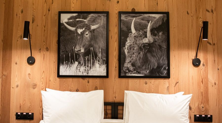 Стандарт Улучшенный 2 корпус