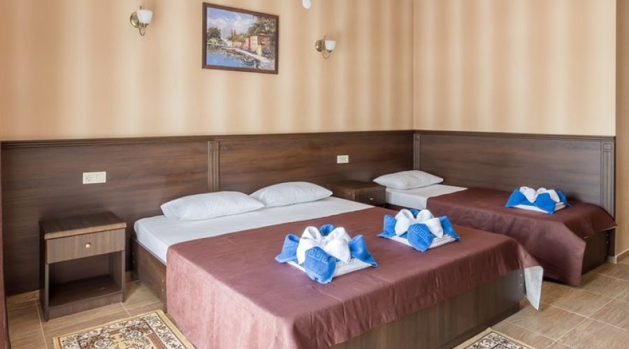 Делюкс 2-местный (2 доп. места, Бетон)