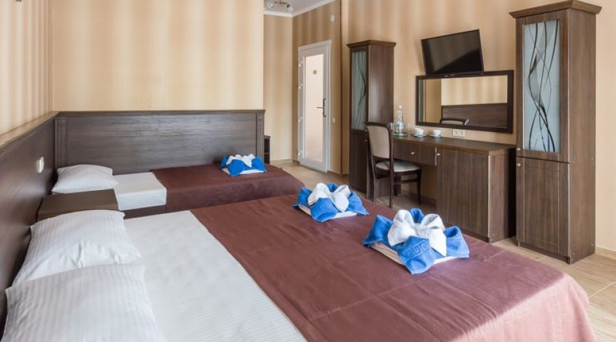 Делюкс 2-местный (2 доп. места, Бетон)