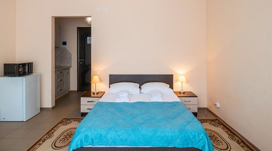 Студия без балкона с мини-кухней