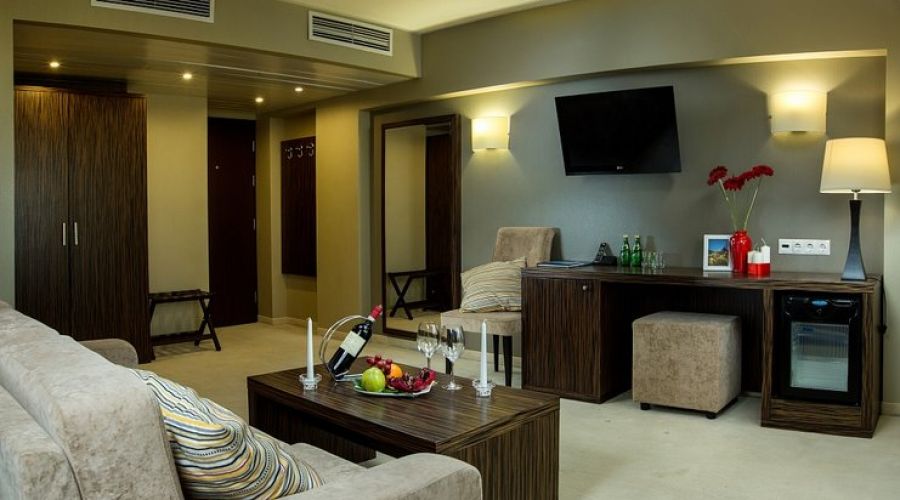 Люкс Студия 2-местный 1-комнатный