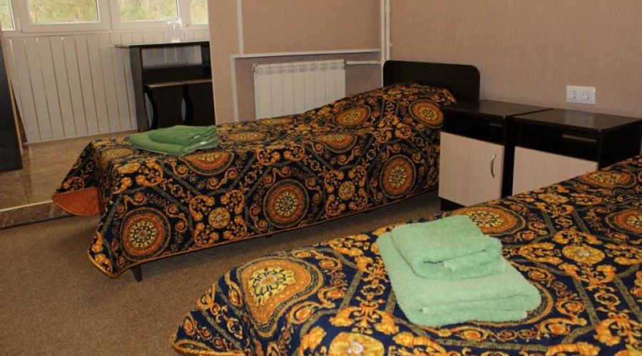 Стандартный ПК 2-местный 1-комнатный TWIN