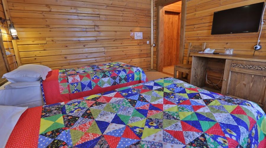 «Стандарт» двухместный (Околица)