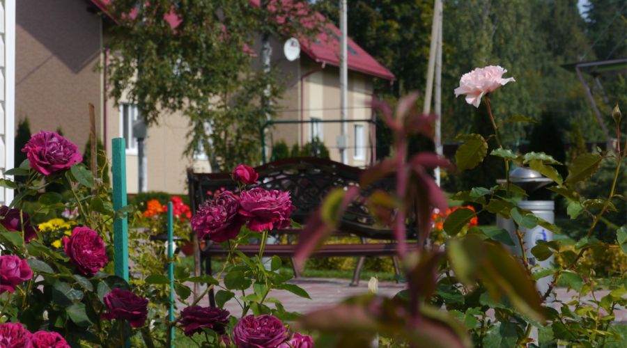 Коттедж с одной спальней, на 5 человек.