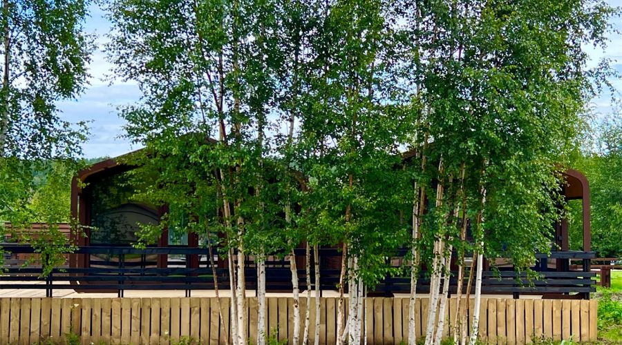 Тролль Дом M