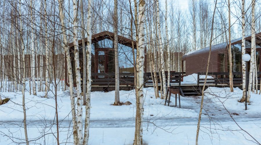 Тролль Дом L