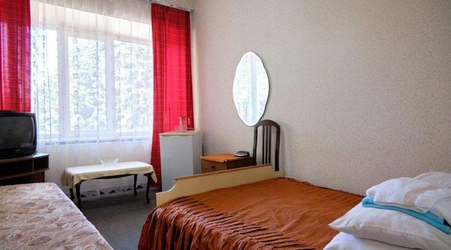 Место в номере Стандарт однокомнатный двухместный