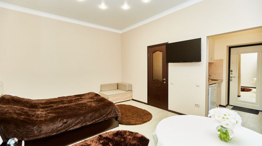 Люкс однокомнатный  (кровать +диван)