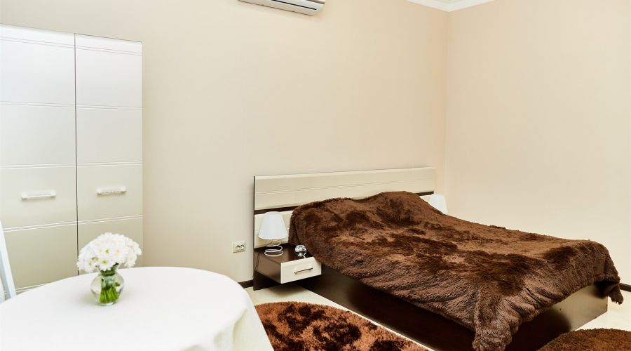 Люкс однокомнатный  (кровать +диван)