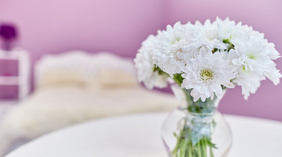 Люкс однокомнатный (кровать king size)