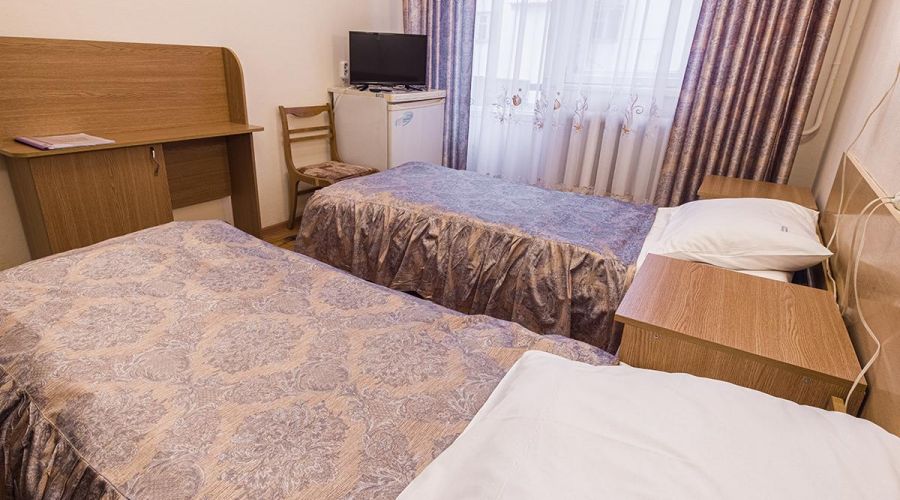 Двухместный однокомнатный стандарт с балконом