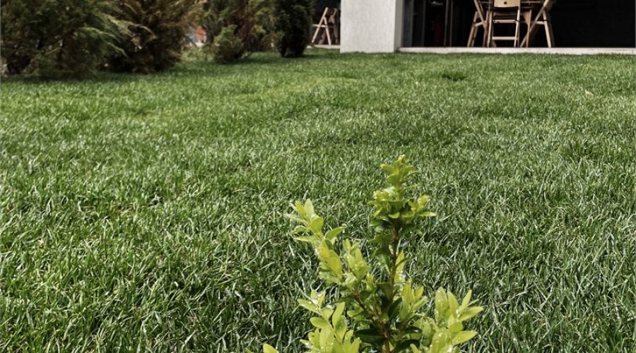 Таунхаус №1