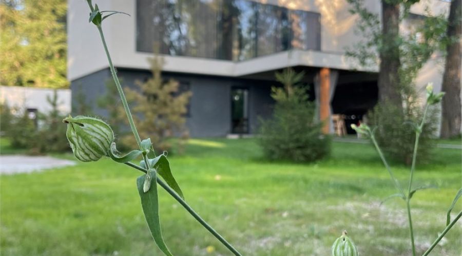 Таунхаус №2