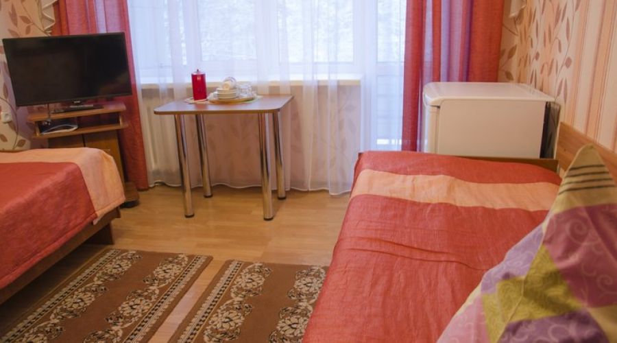 Стандарт 2-мест (с телевизором и холодильником)