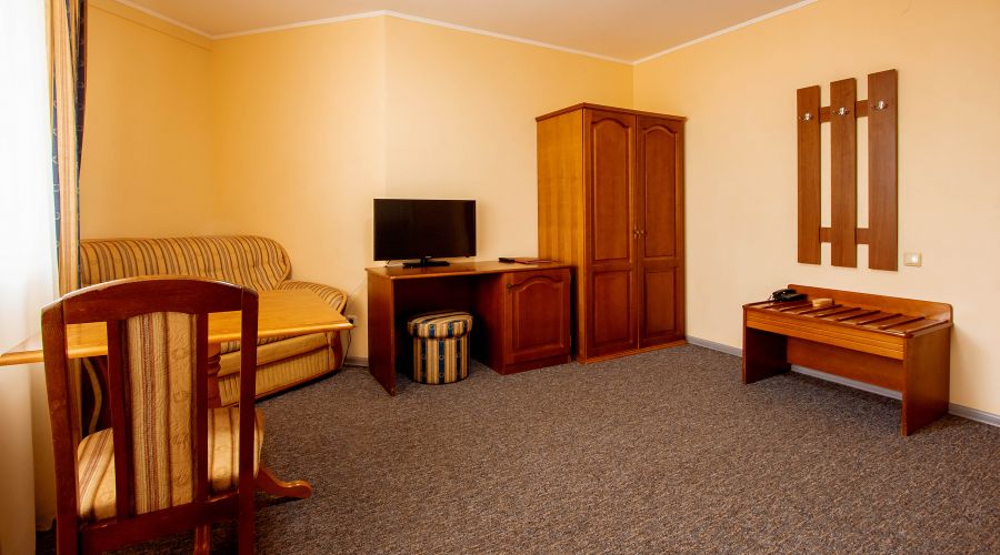 Стандартный 1-местный 1-комнатный