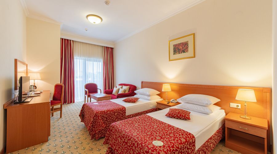 Стандартный 2-местный, вид на город (2 отдельные кровати)