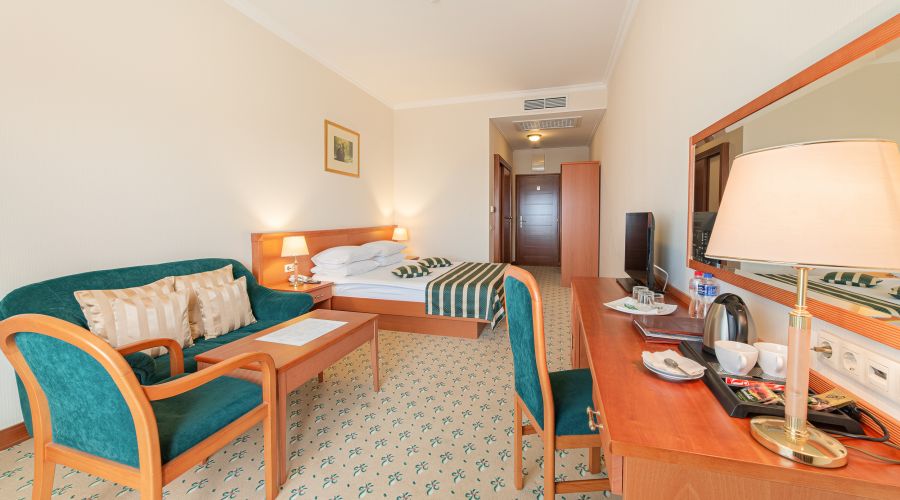 Стандартный 2-местный, вид на море (2спальная кровать)