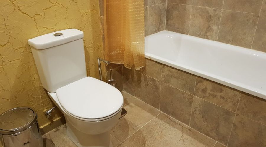 Люкс 2-местный 1-комнатный мансардный № 154 в Морском коттедже 