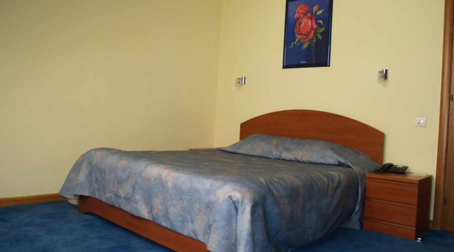 Стандарт+ 2-местный 1-комнатный  в Коттедже с французской кроватью, мансардный  без балкона