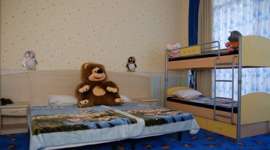 Стандарт+ 2-местный 1-комнатный Детский в Главном корпусе