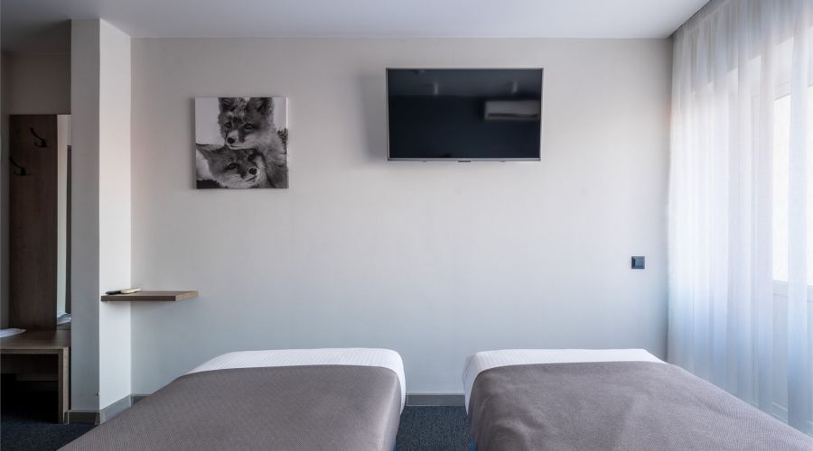 Комфорт Комфорт TWIN с видом на горы 