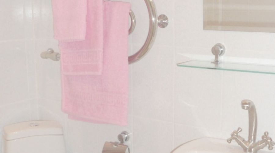 1 категория 2-местный  номер   корп. 1