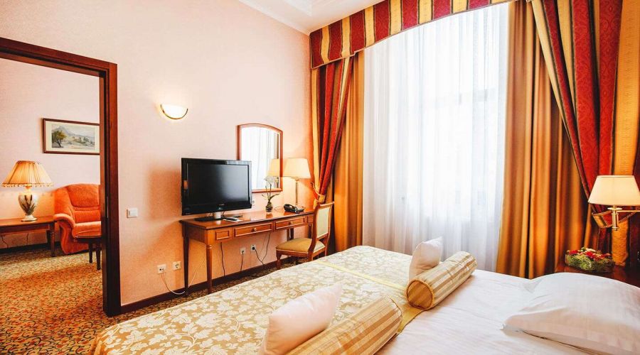 Люкс 2-местный с видом на парк