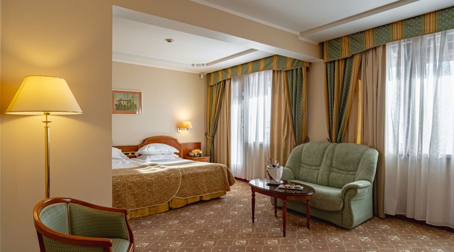 Де Люкс 2-местный 1-комнатный с видом на парк