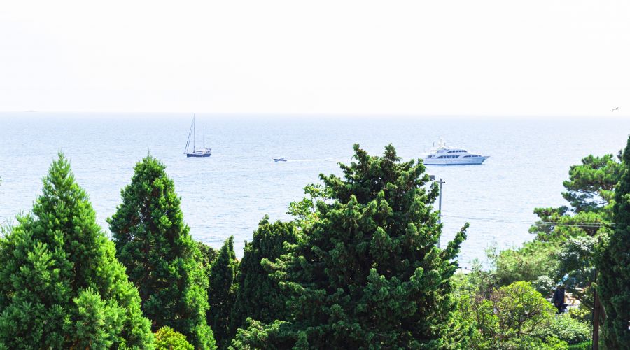 Де Люкс 2-местный 1-комнатный с видом на парк