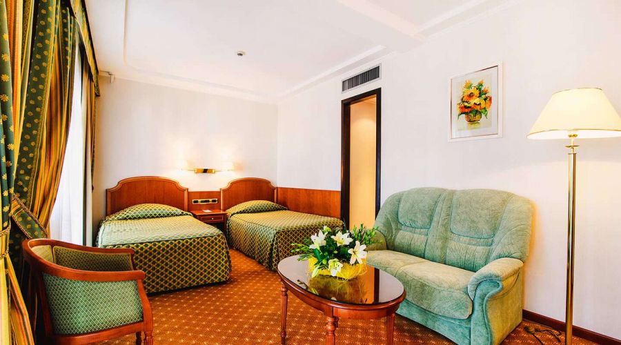 Де Люкс 2-местный 1-комнатный с видом на парк