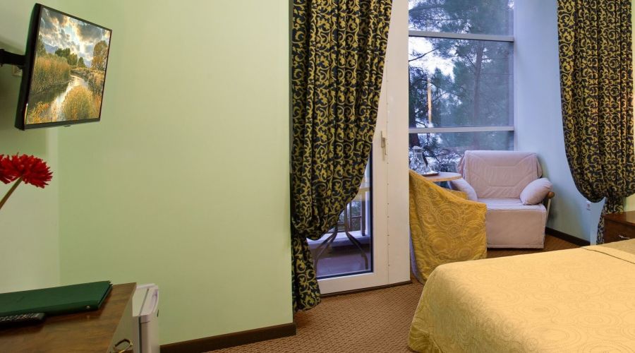 Стандартный 1-комнатный 2-местный "Салют" с видом на горы DBL