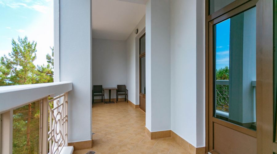 Люкс 2-местный 2-комнатный Салют