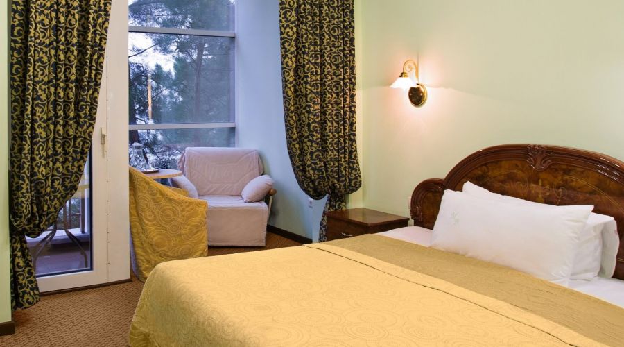 Стандартный 1-комнатный 2-местный "Салют" с видом на горы DBL