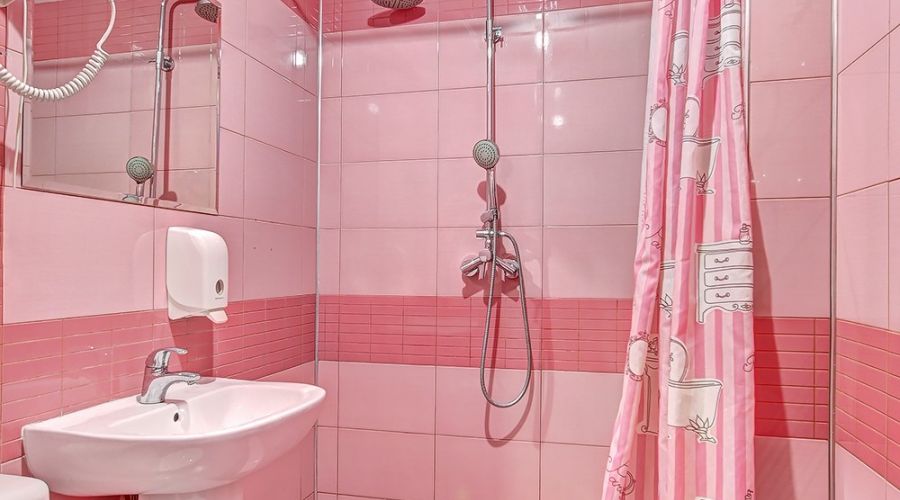 Полулюкс 2-местный