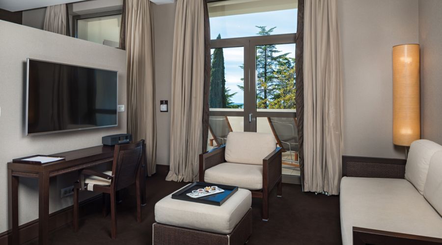 Deluxe 2-местный с видом на парк