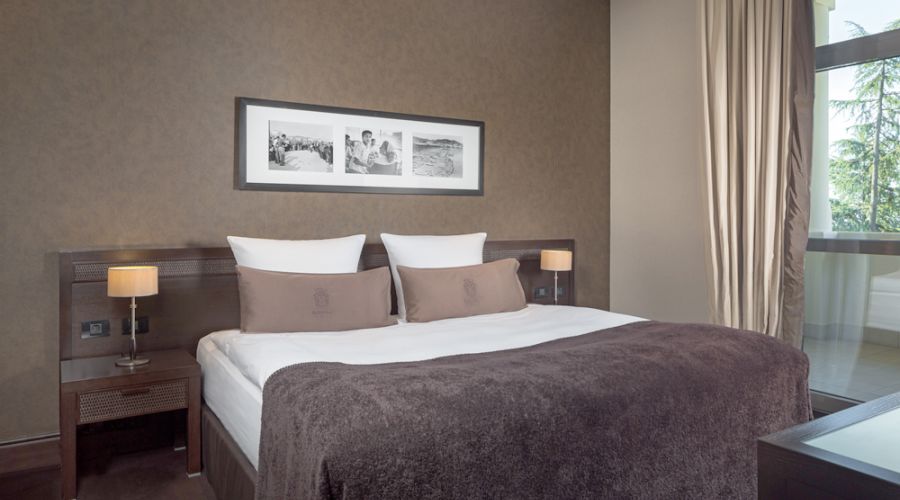 Deluxe 2-местный с видом на парк