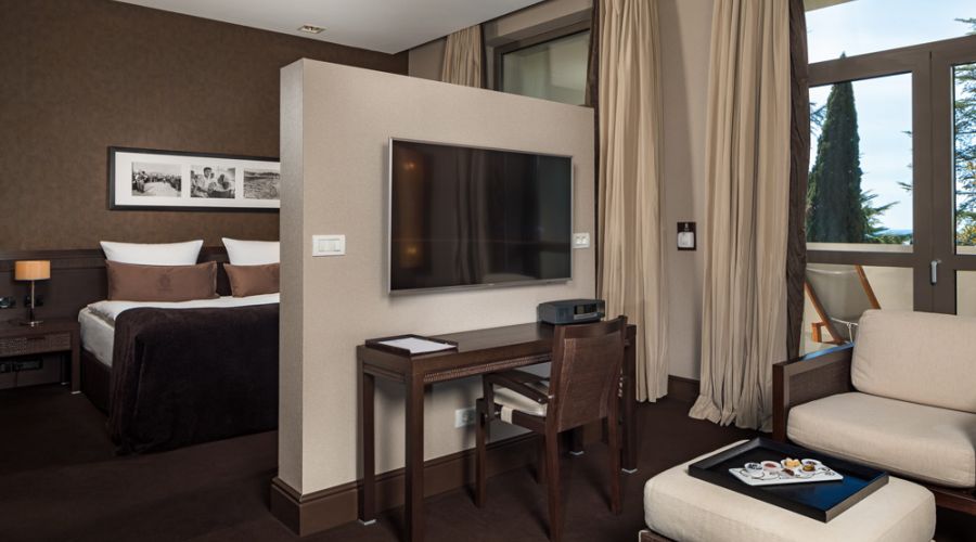 Deluxe 2-местный с видом на парк