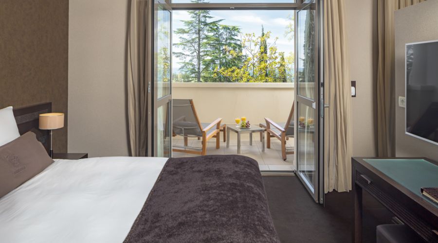 Deluxe 2-местный с видом на парк