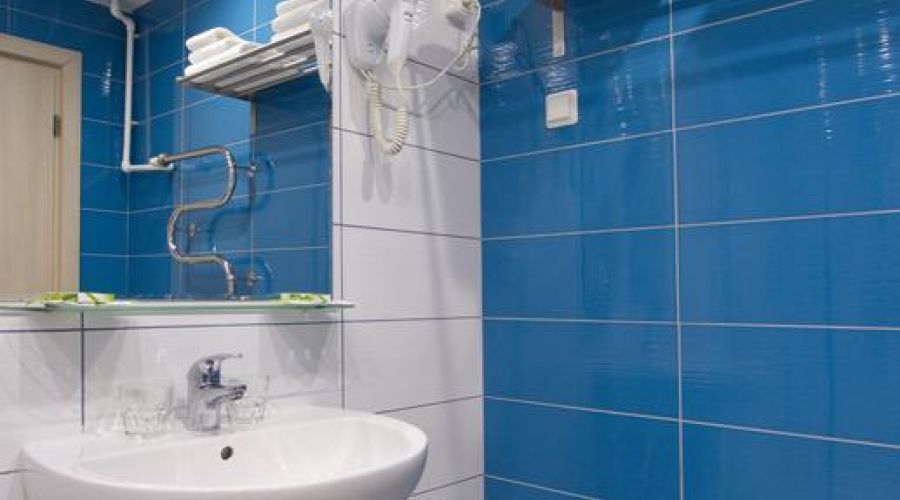 Комфорт 1-местный комфорт с видом на лес