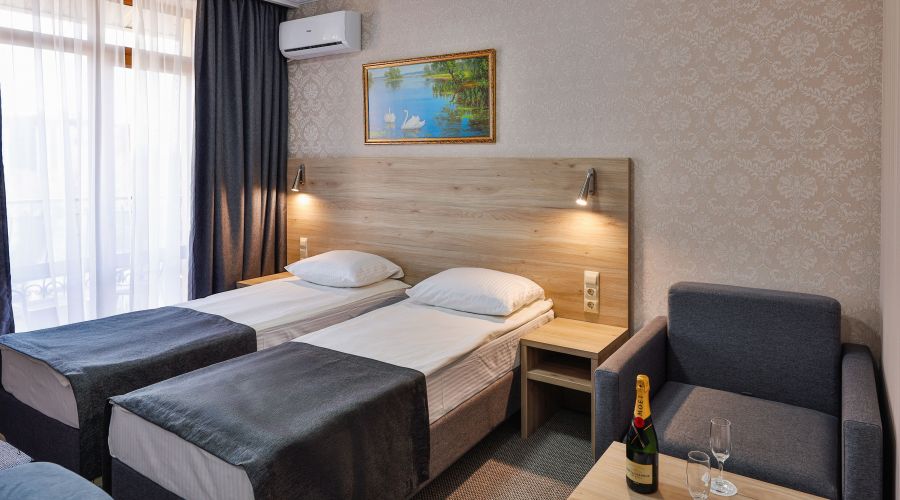 Стандартный 2-местный с балконом с видом в стену